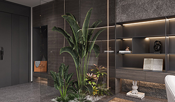 玄關風水，玄關處可擺放哪些物件？